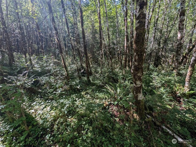 99993 Dowans Creek Rd, Forks, WA 98331