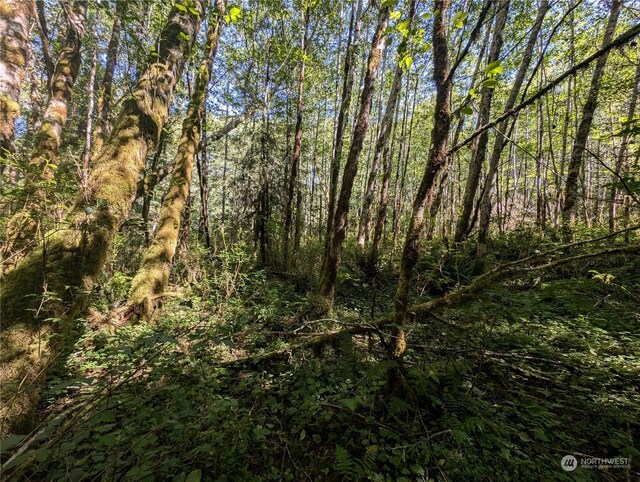 99993 Dowans Creek Rd, Forks, WA 98331