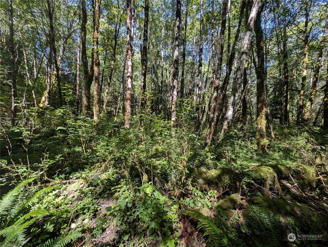 99993 Dowans Creek Rd, Forks, WA 98331