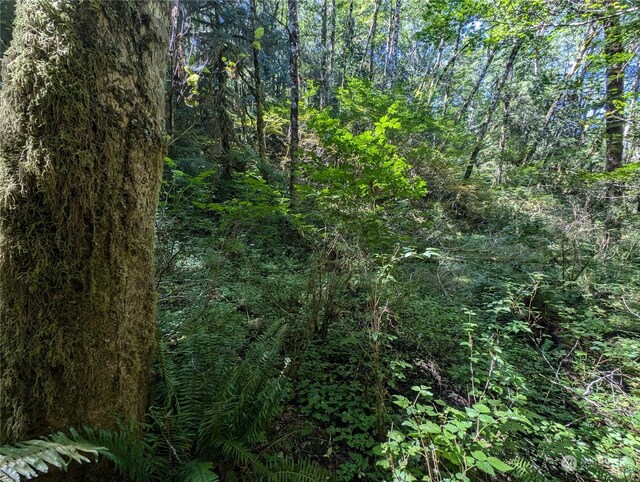 99993 Dowans Creek Rd, Forks, WA 98331