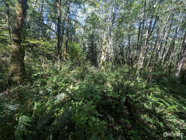 99993 Dowans Creek Rd, Forks, WA 98331