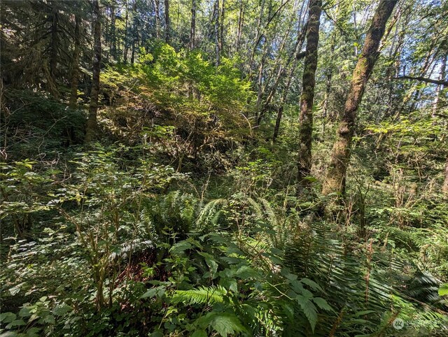 99993 Dowans Creek Rd, Forks, WA 98331