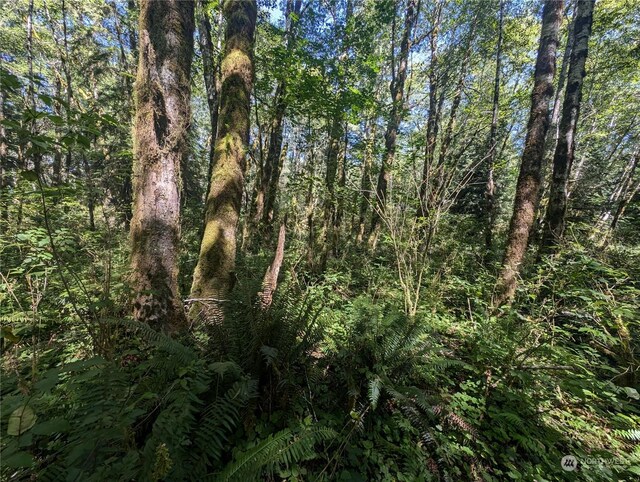 99993 Dowans Creek Rd, Forks, WA 98331