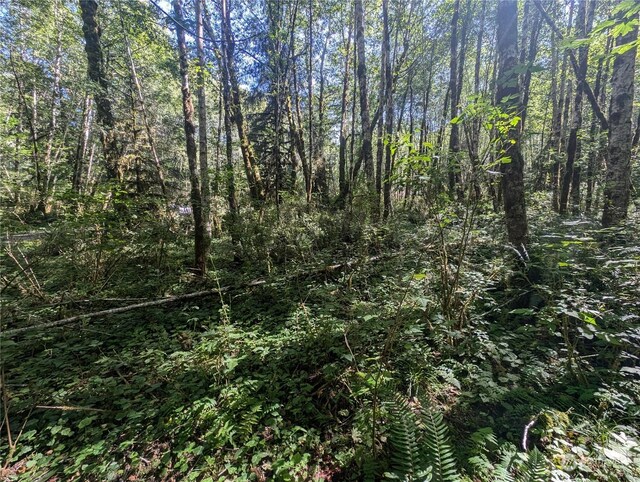 99993 Dowans Creek Rd, Forks, WA 98331