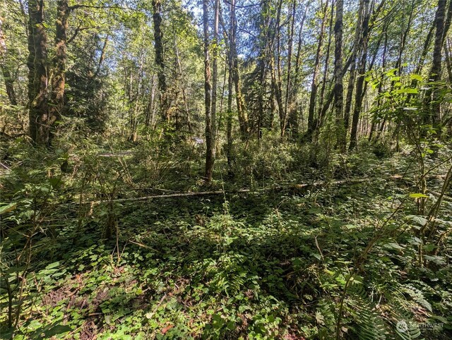 99993 Dowans Creek Rd, Forks, WA 98331