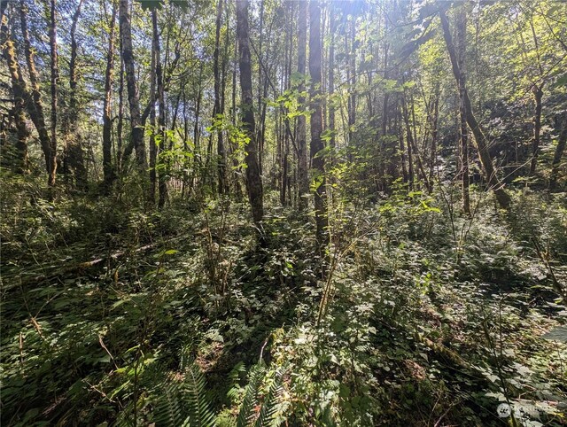 99993 Dowans Creek Rd, Forks, WA 98331