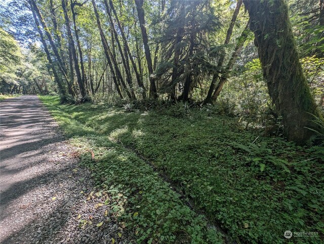 99993 Dowans Creek Rd, Forks, WA 98331