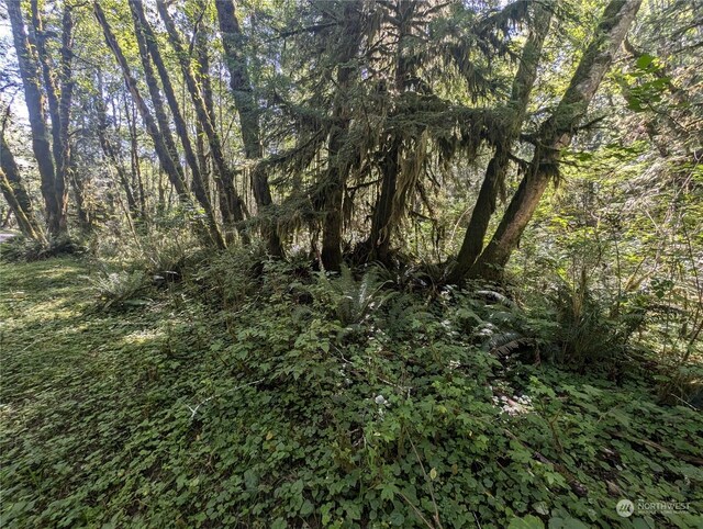 99993 Dowans Creek Rd, Forks, WA 98331
