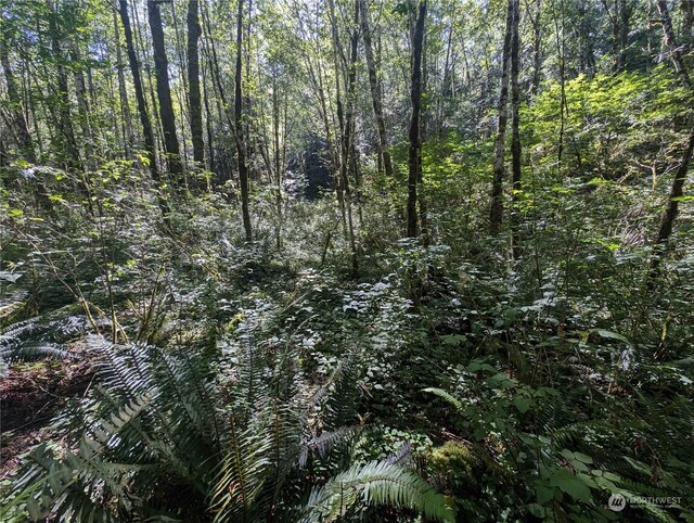 99993 Dowans Creek Rd, Forks, WA 98331