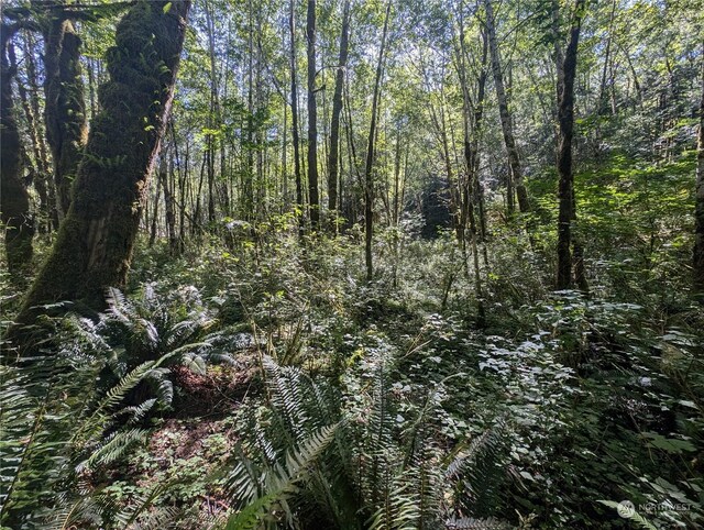 99993 Dowans Creek Rd, Forks, WA 98331