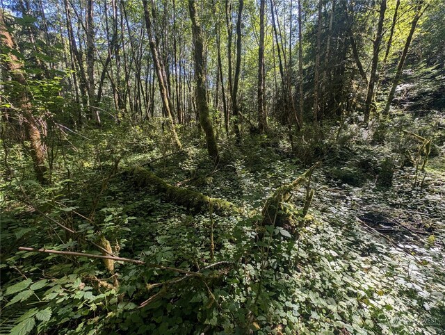99993 Dowans Creek Rd, Forks, WA 98331