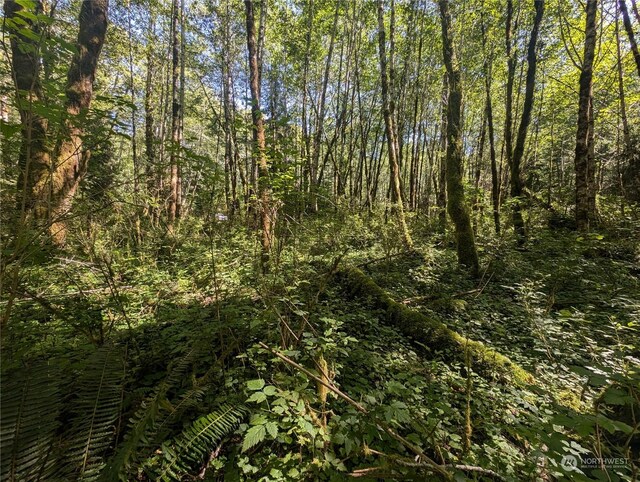 99993 Dowans Creek Rd, Forks, WA 98331