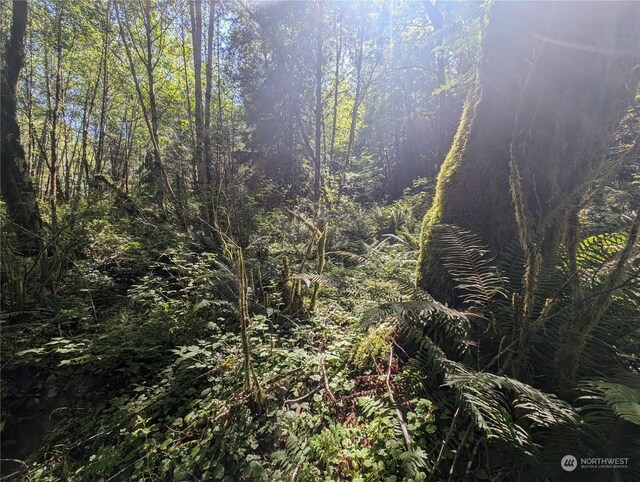 99993 Dowans Creek Rd, Forks, WA 98331