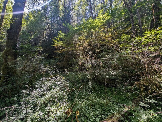 99993 Dowans Creek Rd, Forks, WA 98331