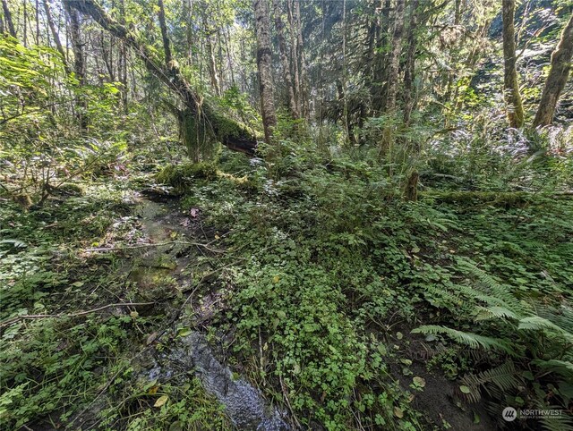 99993 Dowans Creek Rd, Forks, WA 98331