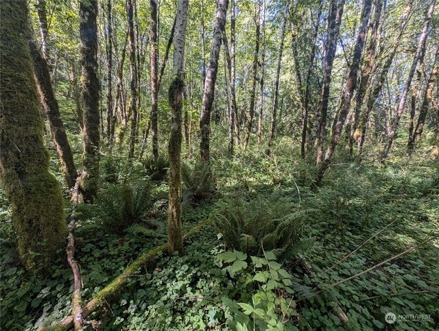 99993 Dowans Creek Rd, Forks, WA 98331