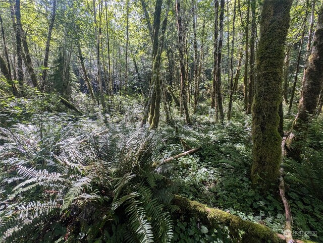 99993 Dowans Creek Rd, Forks, WA 98331