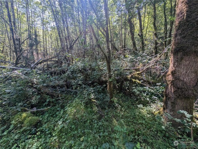 99993 Dowans Creek Rd, Forks, WA 98331