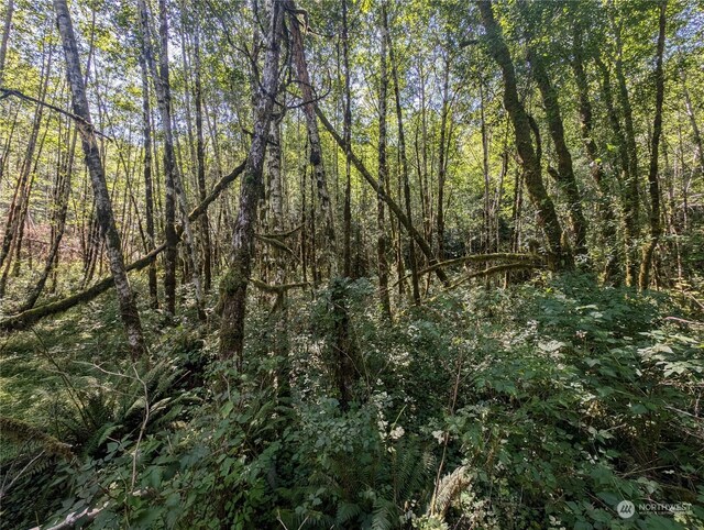 99993 Dowans Creek Rd, Forks, WA 98331