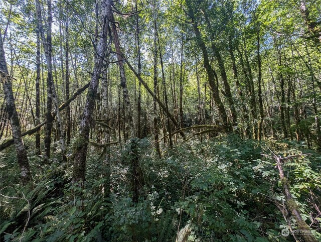 99993 Dowans Creek Rd, Forks, WA 98331