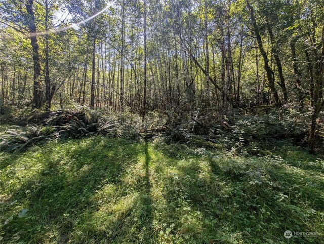 99993 Dowans Creek Rd, Forks, WA 98331