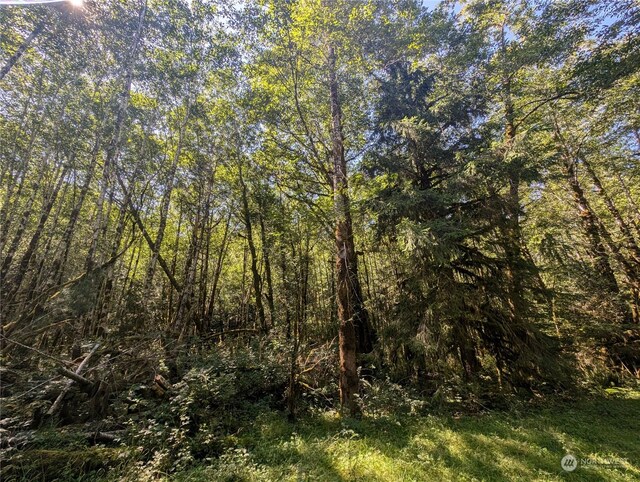 99993 Dowans Creek Rd, Forks, WA 98331