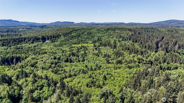 99993 Dowans Creek Rd, Forks, WA 98331