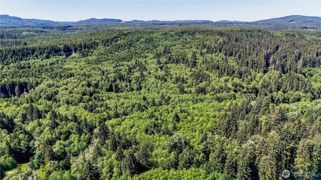 99993 Dowans Creek Rd, Forks, WA 98331