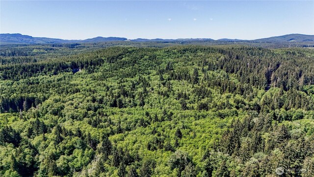 99993 Dowans Creek Rd, Forks, WA 98331