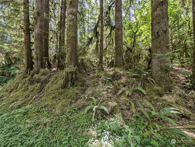 99994 Dowans Creek Rd, Forks, WA 98331