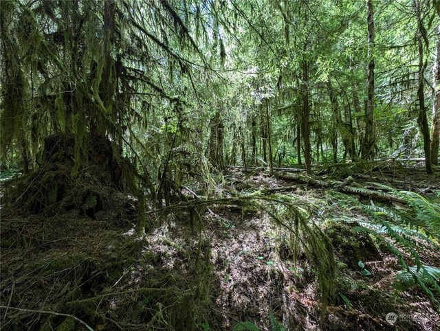 99994 Dowans Creek Rd, Forks, WA 98331