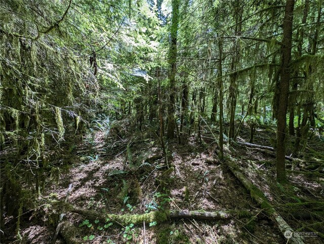 99994 Dowans Creek Rd, Forks, WA 98331