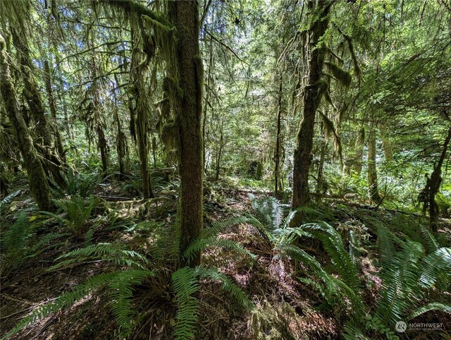 99994 Dowans Creek Rd, Forks, WA 98331