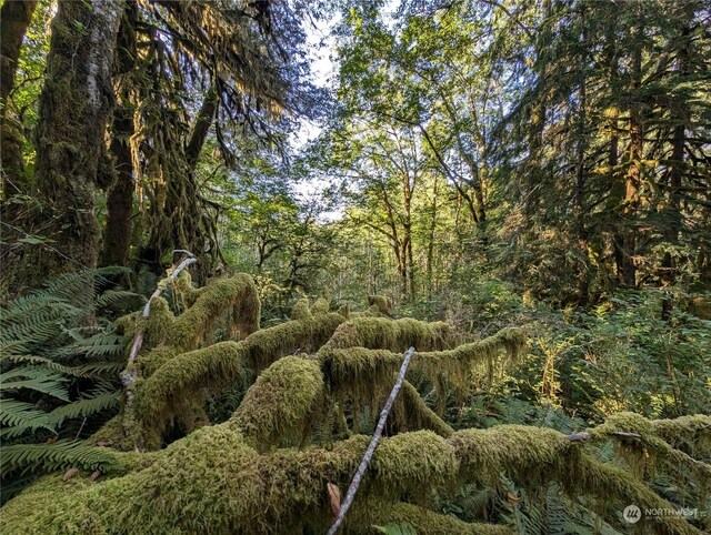 99994 Dowans Creek Rd, Forks, WA 98331