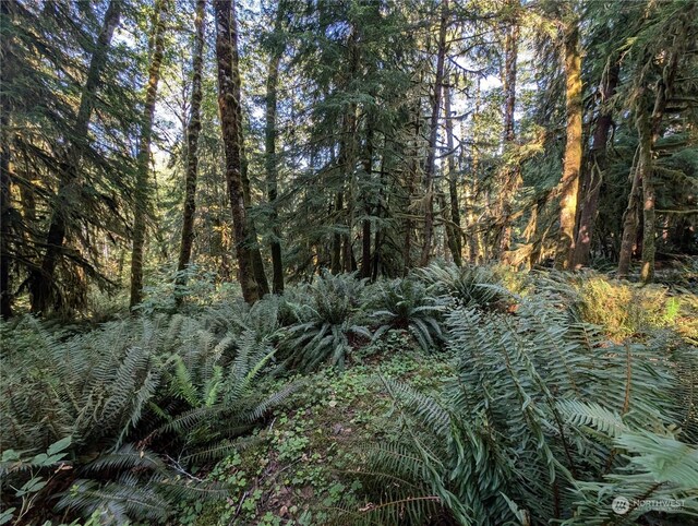 99994 Dowans Creek Rd, Forks, WA 98331