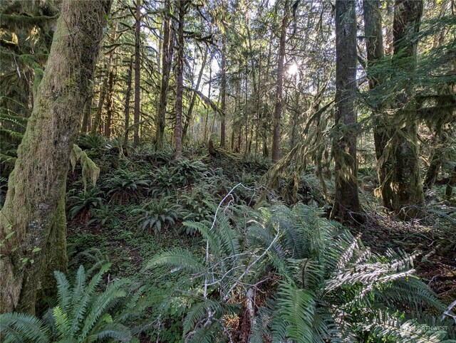 99994 Dowans Creek Rd, Forks, WA 98331