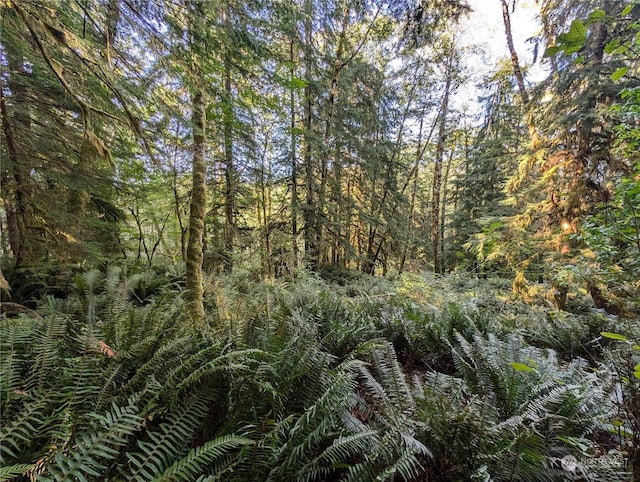 99994 Dowans Creek Rd, Forks, WA 98331