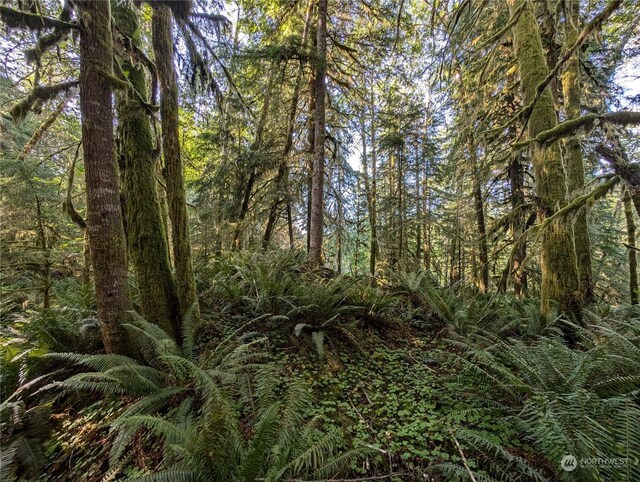 99994 Dowans Creek Rd, Forks, WA 98331