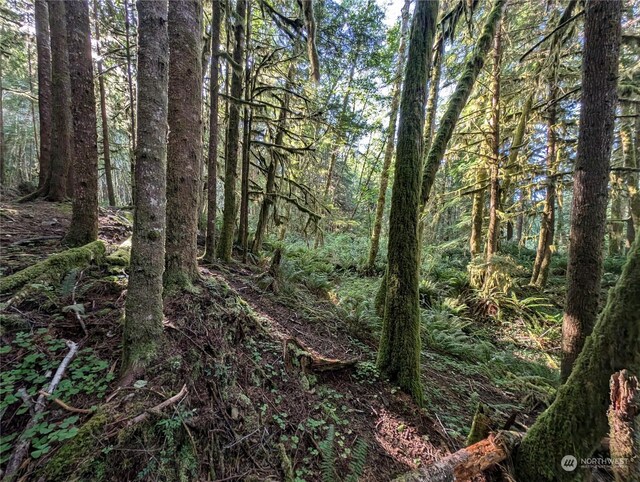 99994 Dowans Creek Rd, Forks, WA 98331