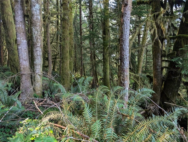 99994 Dowans Creek Rd, Forks, WA 98331