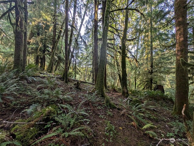 99994 Dowans Creek Rd, Forks, WA 98331