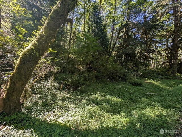 99994 Dowans Creek Rd, Forks, WA 98331