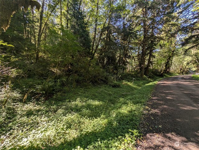 99994 Dowans Creek Rd, Forks, WA 98331