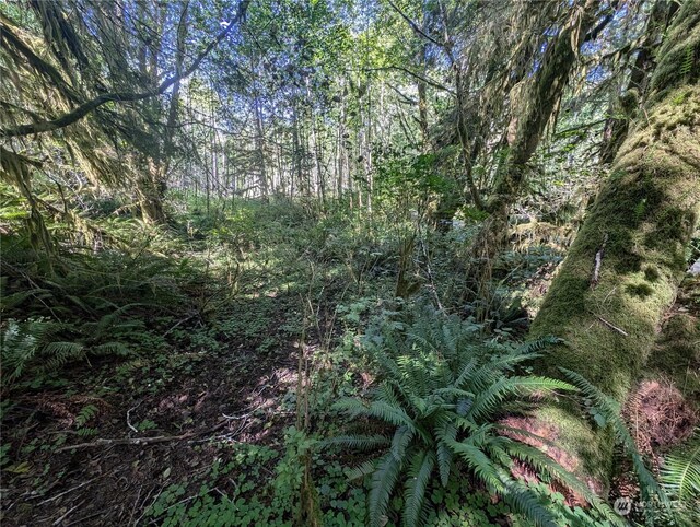 99994 Dowans Creek Rd, Forks, WA 98331