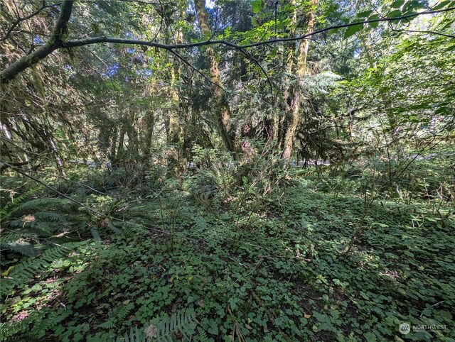 99994 Dowans Creek Rd, Forks, WA 98331