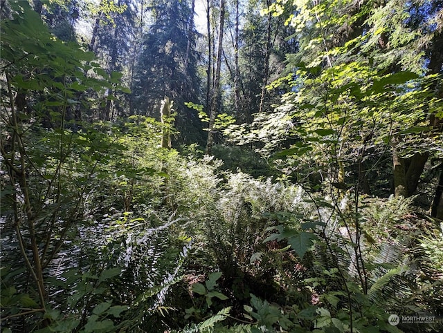 99994 Dowans Creek Rd, Forks, WA 98331