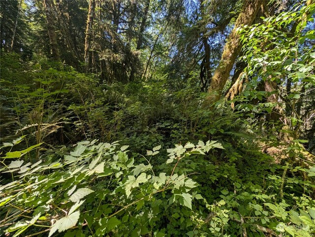 99994 Dowans Creek Rd, Forks, WA 98331