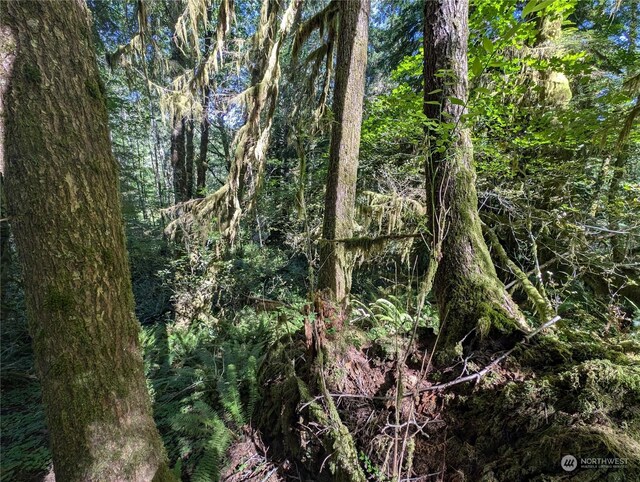 99994 Dowans Creek Rd, Forks, WA 98331