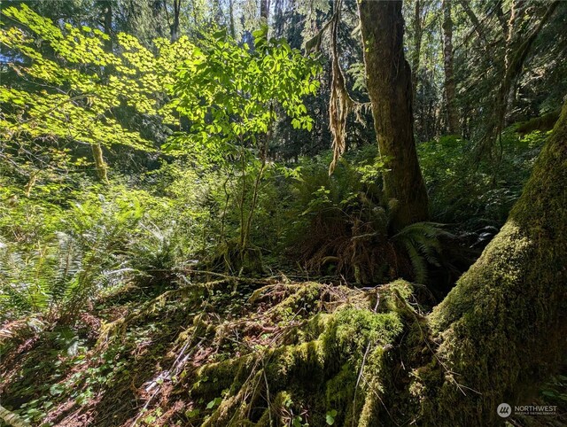 99994 Dowans Creek Rd, Forks, WA 98331