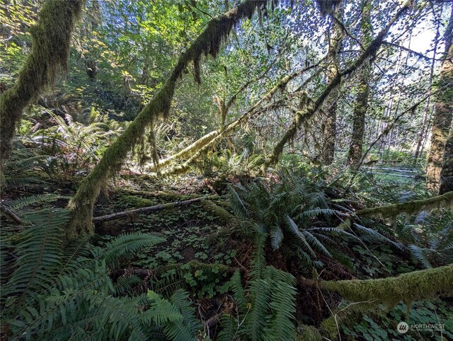 99994 Dowans Creek Rd, Forks, WA 98331
